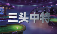    图库精选材料大全_图库精选材料大全下载